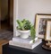 7.5” Small Succulents Plants Artificial in Ceramic Pots Potted Faux Succulent Arrangement with High Bowl Planter Fake Desk Succulents Plants for Home Bathroom Shelf Table Indoor Decor